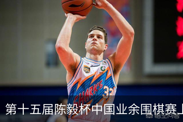 第十五届陈毅杯中国业余围棋赛上海开幕